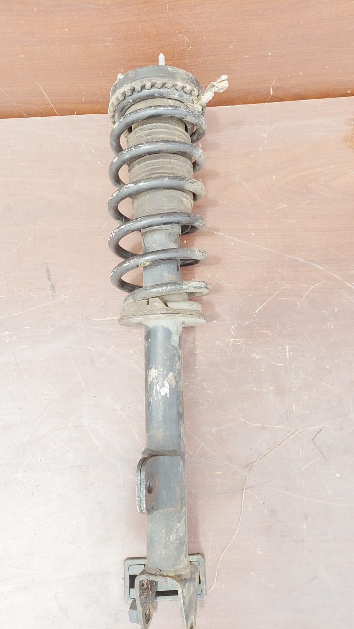 Shock Absorber (Rear Left)