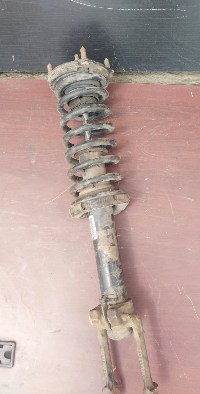 Shock Absorber (Rear Left)
